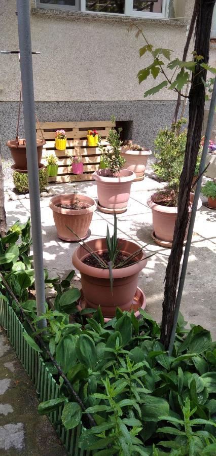 Draga Apartment Nesebar Buitenkant foto